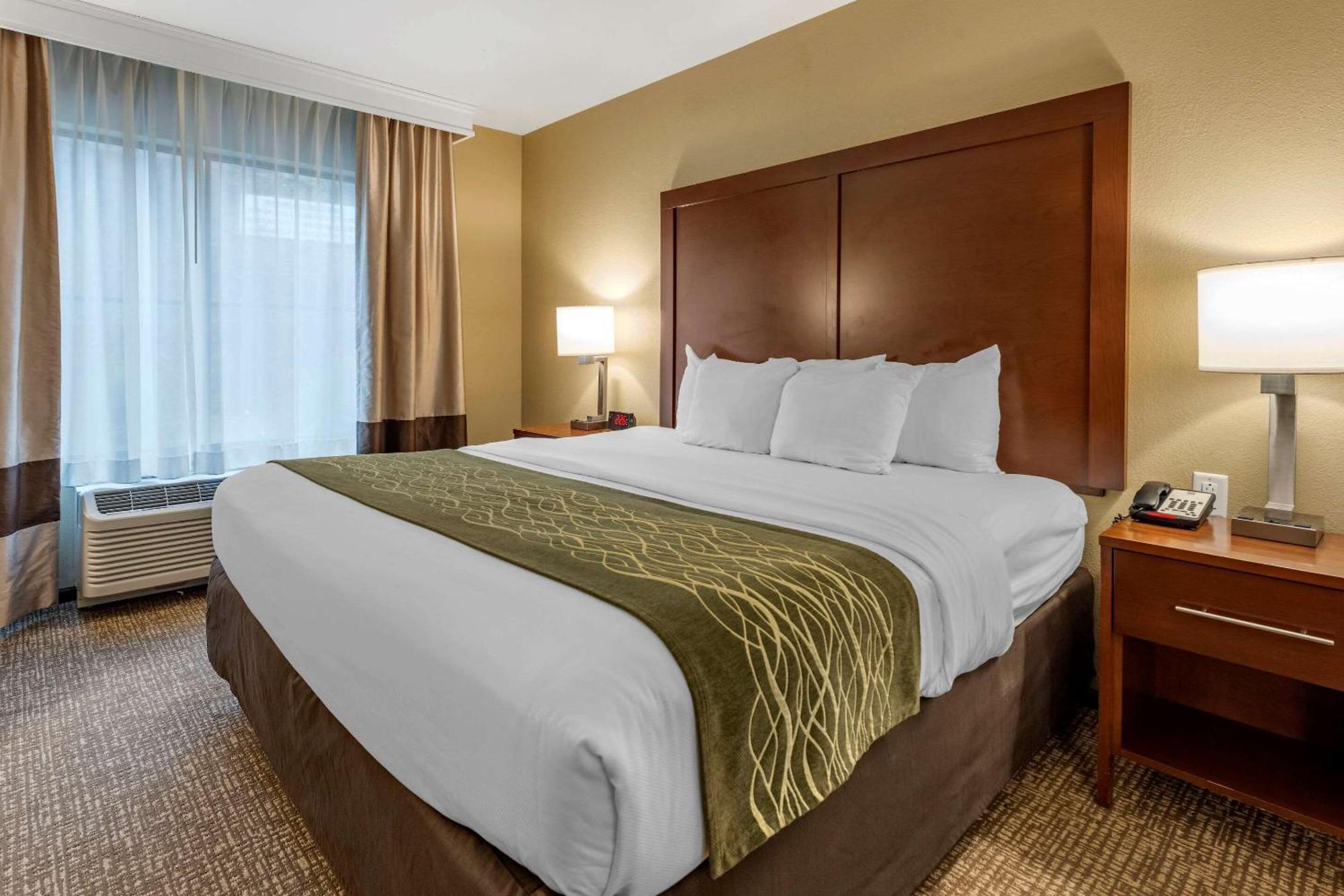 King Suite with Sofa Bed